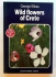 Wild flowers of Crete