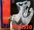 Pablo Picasso 1881 - 1973 Vol. 1-2