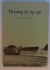 Herning by og egn